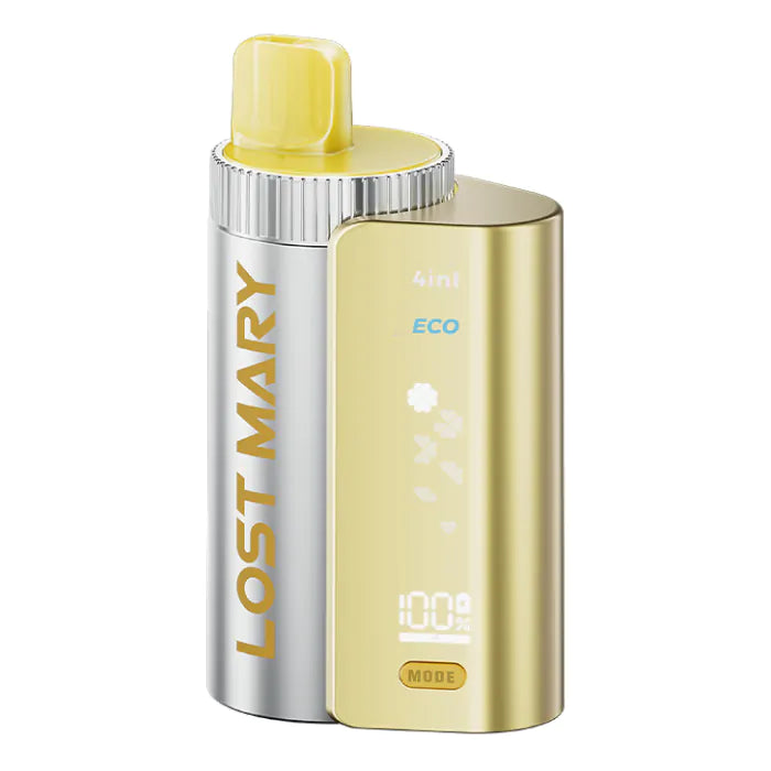 Lost Mary 4in1 Kit